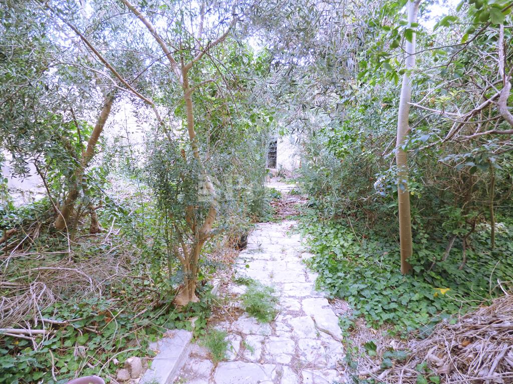 Lija<br>House of Character
