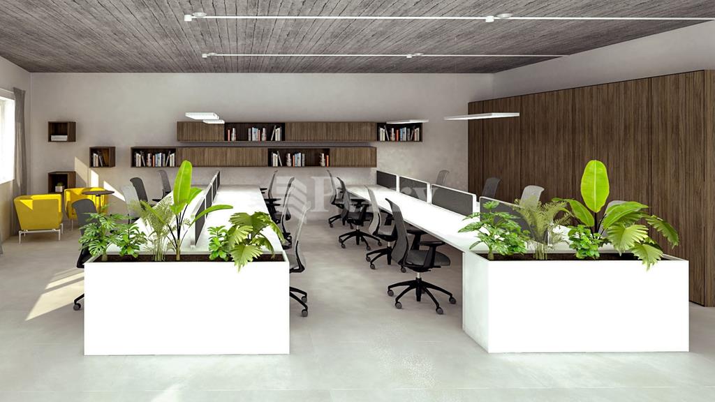 Pieta<br>Office