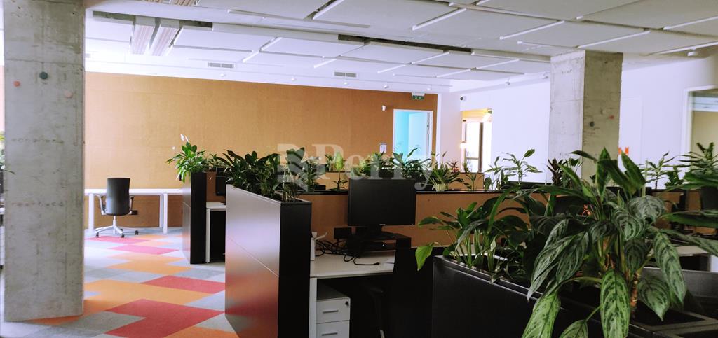 Swieqi<br>Office